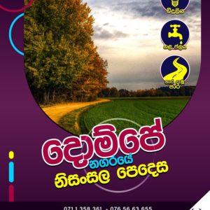 <b>දොම්පෙ – Nisansala Pedesa</b>