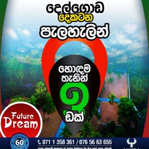 <b>පලහැල-Future Dreams</b>