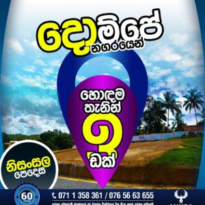 <b>දොම්පෙ – Nisansala Pedesa</b>