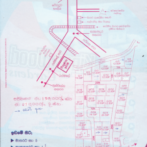 <b>කැකනදුර – Kings Wood Gardens</b>